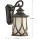 Klemens Outdoor Wall Lantern, Large