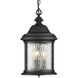 Renee 3 Light 9.63 inch Textured Black Outdoor Hanging Lantern