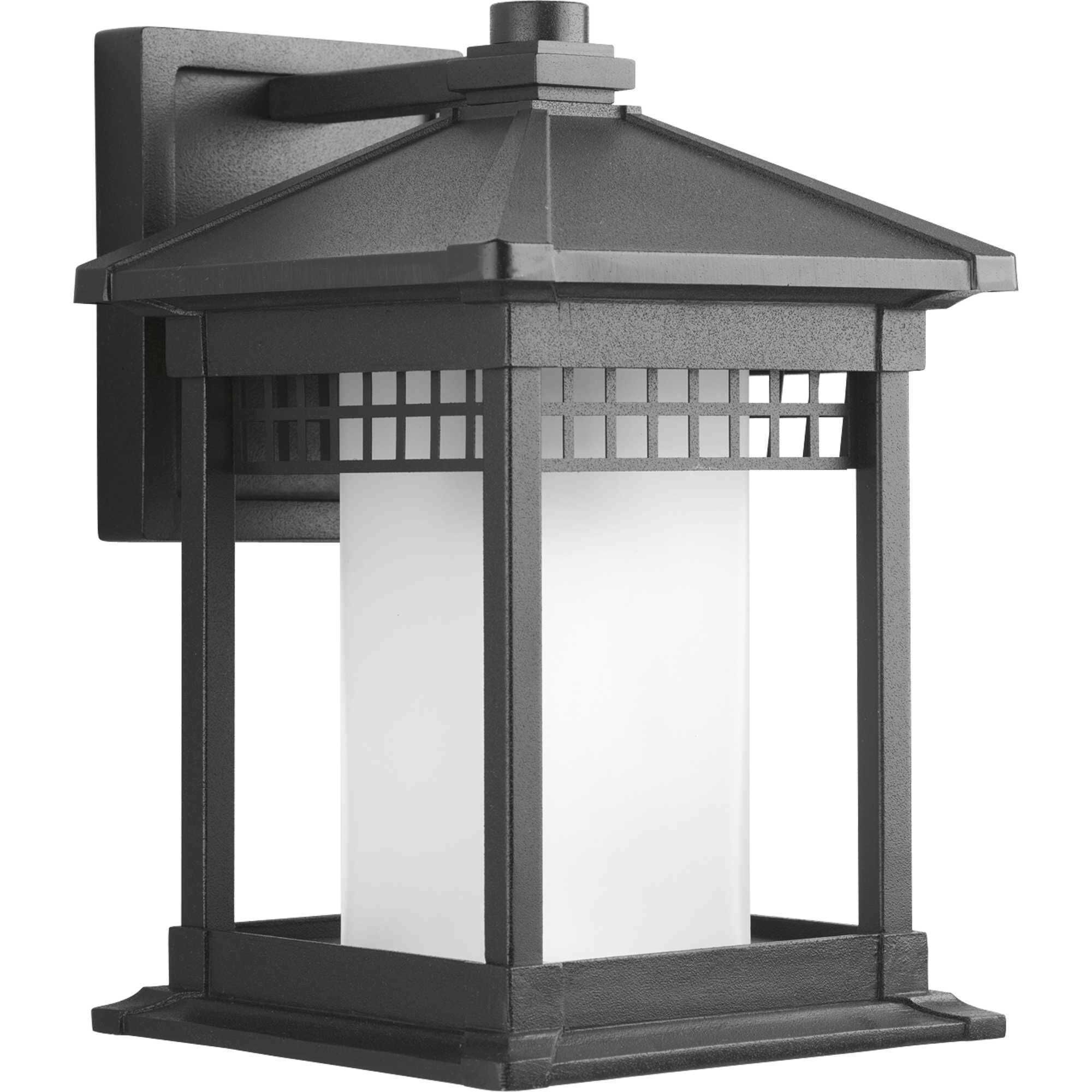 Hedwig 1 Light 12 inch Textured Black Outdoor Wall Lantern