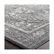 Dido 35 X 24 inch Taupe/Medium Gray/Ivory/Charcoal Rugs, Rectangle