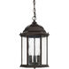 Severinus 3 Light 9.5 inch Old Bronze Outdoor Hanging Lantern