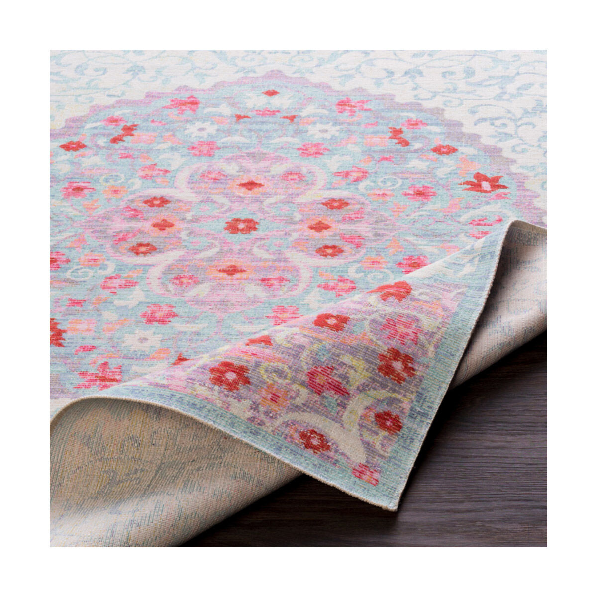 Hilario 36 X 24 inch Aqua Indoor Area Rug, Rectangle