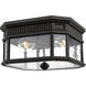 Quade 2 Light 11.5 inch Black Outdoor Flush Mount
