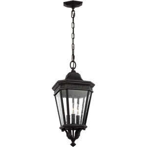 Quade 3 Light 10 inch Black Outdoor Hanging Lantern