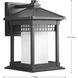 Hedwig 1 Light 12 inch Textured Black Outdoor Wall Lantern