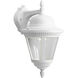 Marcellus 1 Light 16 inch White Outdoor Wall Lantern, Medium