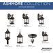 Renee 3 Light 17 inch Antique Bronze Outdoor Wall Lantern