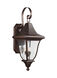 Caius Outdoor Wall Lantern