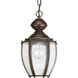 Zachriel 1 Light 7 inch Antique Bronze Outdoor Hanging Lantern