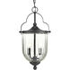 Terah 2 Light 9.5 inch Textured Black Outdoor Hanging Lantern