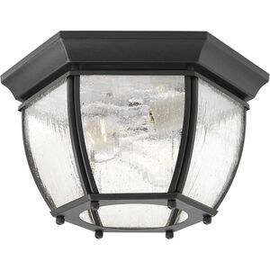 Zachriel 2 Light 11 inch Textured Black Outdoor Flush Mount