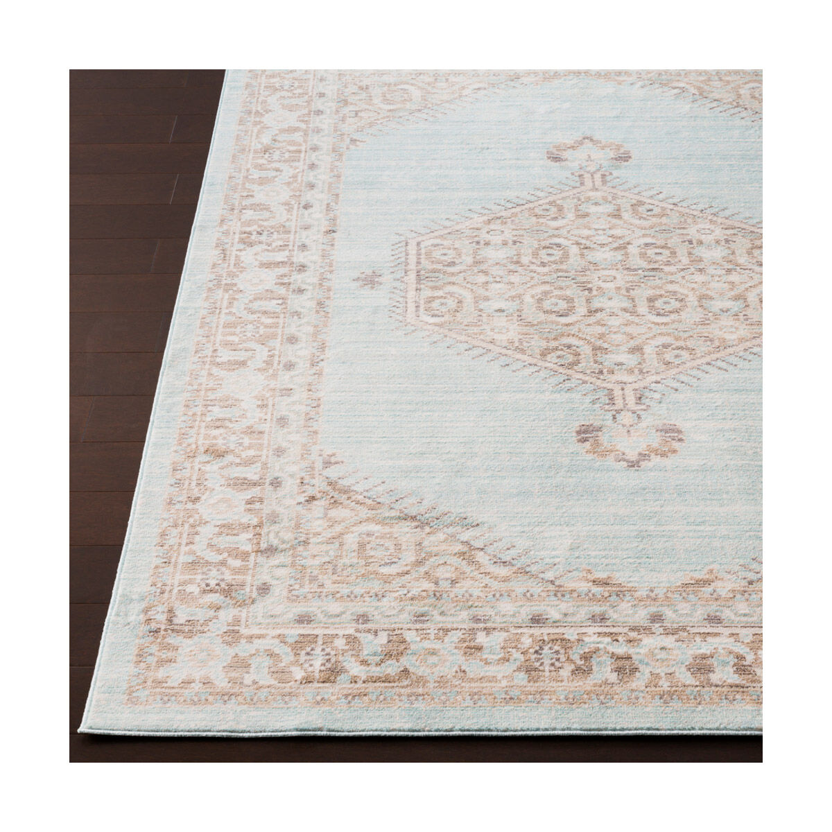 Ayland 65 X 47 inch Sea Foam/Camel/Cream Rugs, Polyester