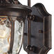Joy 1 Light 14 inch Regal Bronze with Clear Outdoor Wall Sconce