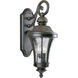 Kim Outdoor Wall Lantern, Medium