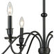 Vinson Chandelier Ceiling Light