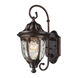 Joy 1 Light 14 inch Regal Bronze with Clear Outdoor Wall Sconce