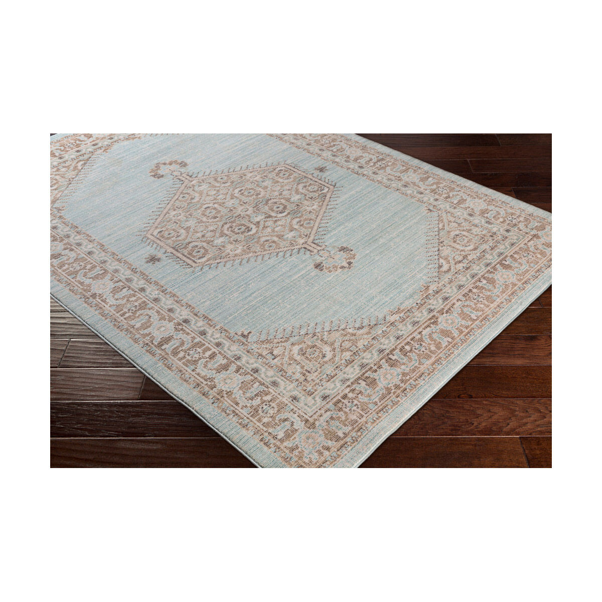 Ayland 65 X 47 inch Sea Foam/Camel/Cream Rugs, Polyester