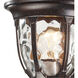 Joy 1 Light 13 inch Regal Bronze Outdoor Wall Sconce