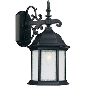 Severinus 1 Light 16 inch Black Outdoor Wall Lantern
