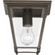 Quennel 1 Light 7 inch Antique Bronze Outdoor Flush Mount
