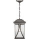 Luce 1 Light 8.25 inch Antique Pewter Outdoor Hanging Lantern