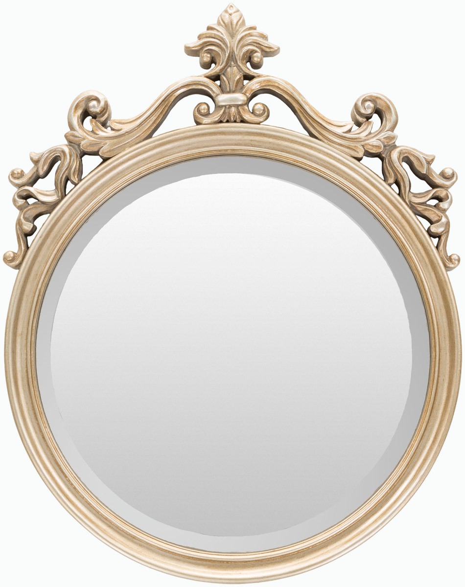 Osmond 25 X 19.5 inch Champagne Mirror, Arch/Crowned Top